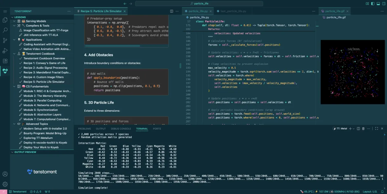 VS Code with the toolkit open: a lesson tree on the left, a particle-life lesson with code in the middle, its rendered output top-right, and simulation results in the terminal.