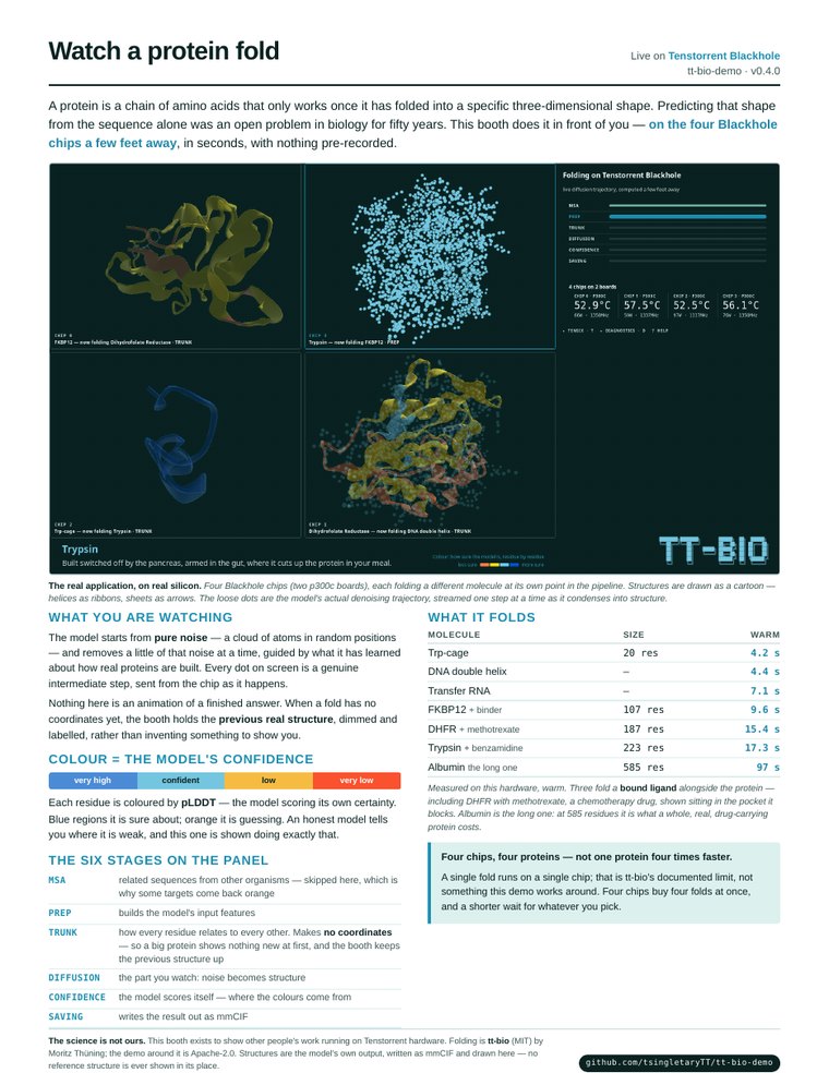 Page one of the handout: a headline reading &ldquo;Watch a protein fold&rdquo;, the four-chip quad screenshot, the confidence colour ramp, and a table of the six molecules with their fold times.