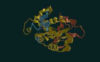 Dihydrofolate reductase, folded, coloured by confidence.