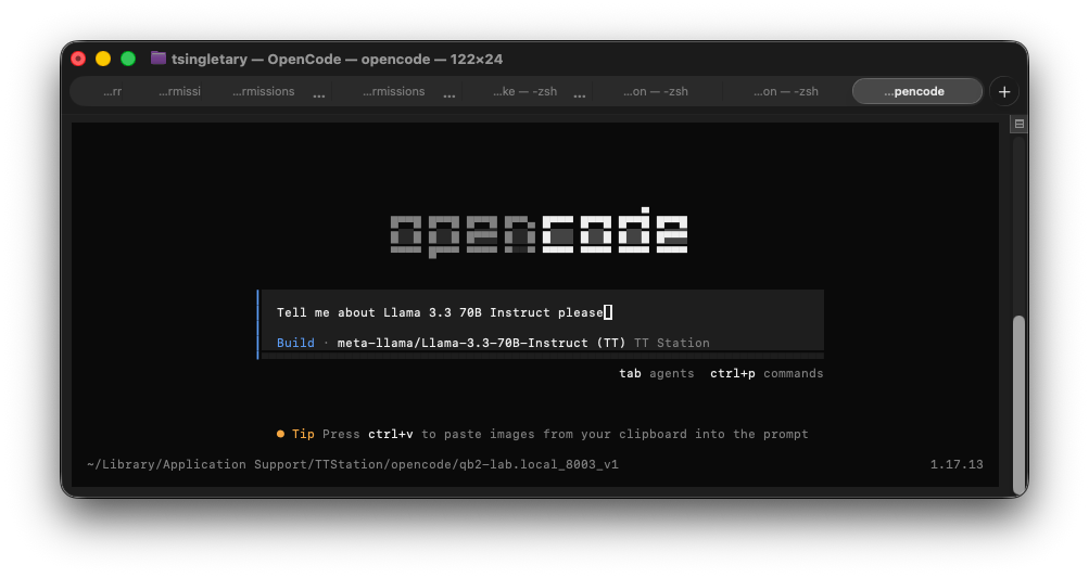 The opencode terminal agent configured against the QuietBox's TT Station provider and endpoint